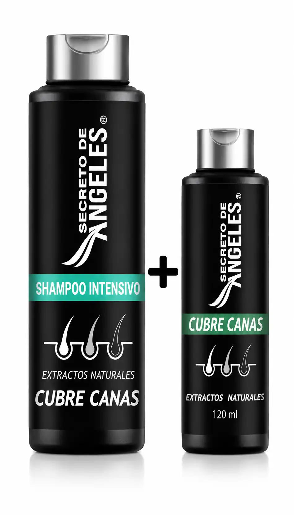 SHAMPOO CUBRE CANAS SECRETO DE ANGELES + OBSEQUIO